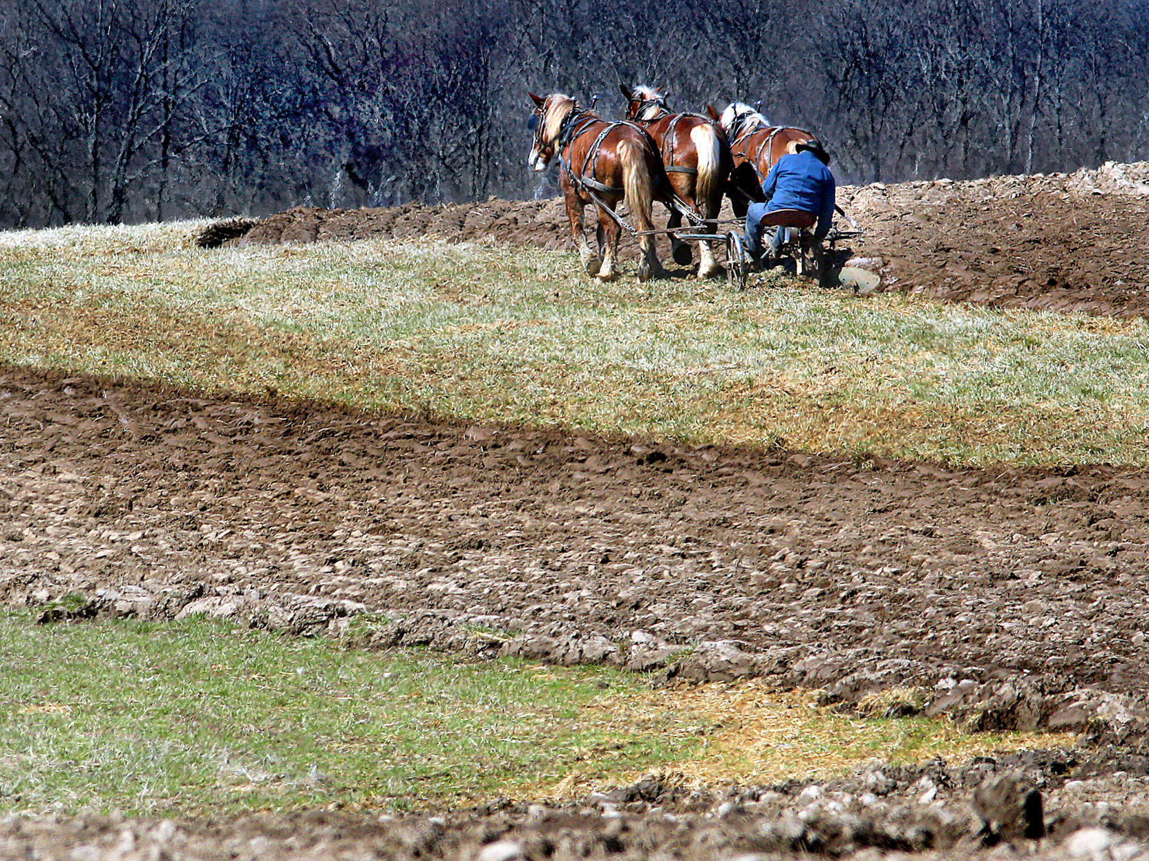 Vernon County farm